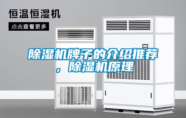 除濕機(jī)牌子的介紹推薦，除濕機(jī)原理