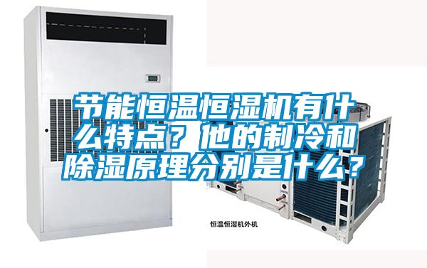 節(jié)能恒溫恒濕機(jī)有什么特點(diǎn)？他的制冷和除濕原理分別是什么？