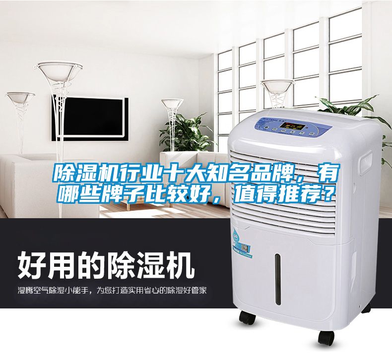除濕機(jī)行業(yè)十大知名品牌，有哪些牌子比較好，值得推薦？