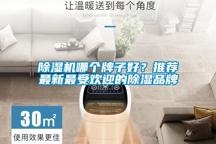 除濕機哪個牌子好？推薦最新最受歡迎的除濕品牌
