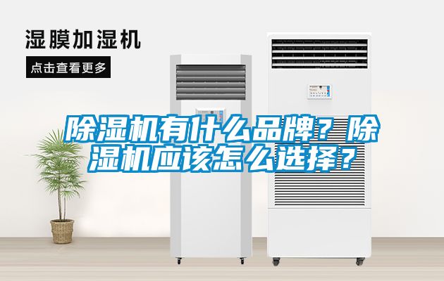 除濕機有什么品牌？除濕機應(yīng)該怎么選擇？