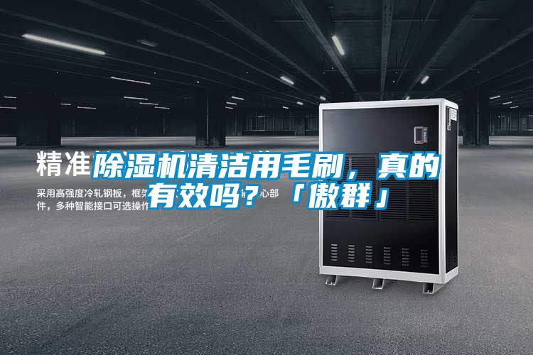 除濕機(jī)清潔用毛刷，真的有效嗎？「傲群」