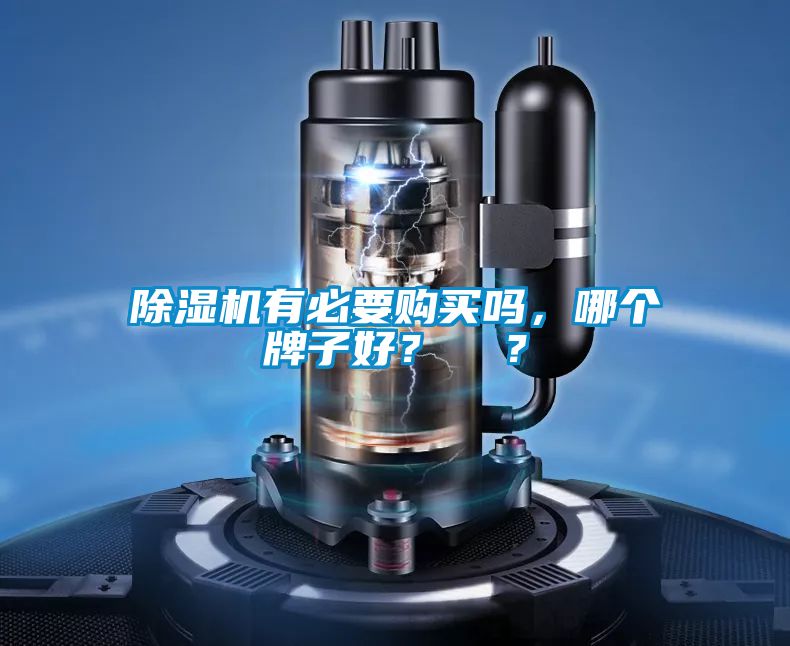 除濕機(jī)有必要購買嗎，哪個(gè)牌子好？  ？