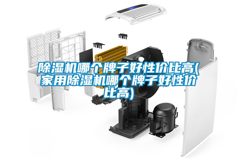除濕機(jī)哪個牌子好性價(jià)比高(家用除濕機(jī)哪個牌子好性價(jià)比高)