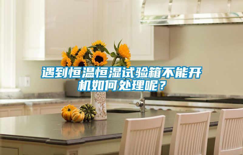 遇到恒溫恒濕試驗箱不能開機(jī)如何處理呢？