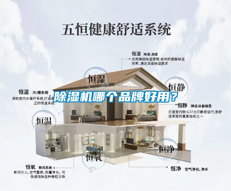 除濕機(jī)哪個(gè)品牌好用？