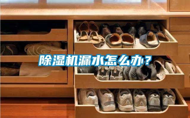 除濕機(jī)漏水怎么辦？