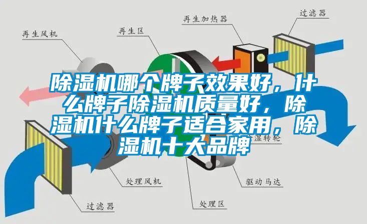 除濕機(jī)哪個(gè)牌子效果好，什么牌子除濕機(jī)質(zhì)量好，除濕機(jī)什么牌子適合家用，除濕機(jī)十大品牌