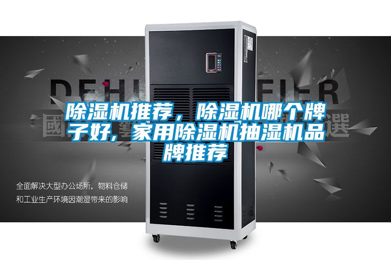 除濕機推薦，除濕機哪個牌子好, 家用除濕機抽濕機品牌推薦