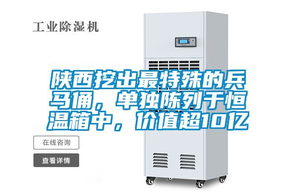 陜西挖出最特殊的兵馬俑，單獨(dú)陳列于恒溫箱中，價(jià)值超10億