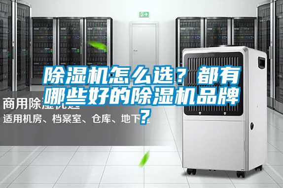 除濕機(jī)怎么選？都有哪些好的除濕機(jī)品牌？