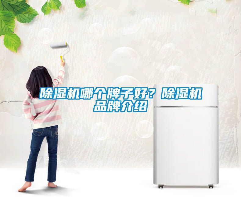 除濕機(jī)哪個(gè)牌子好？除濕機(jī)品牌介紹