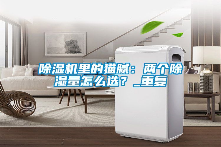 除濕機里的貓膩：兩個除濕量怎么選？_重復(fù)