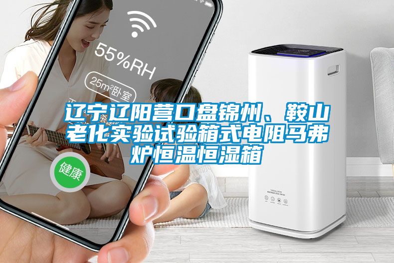 遼寧遼陽營口盤錦州、鞍山老化實驗試驗箱式電阻馬弗爐恒溫恒濕箱
