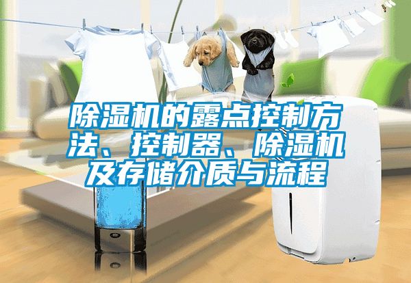 除濕機(jī)的露點(diǎn)控制方法、控制器、除濕機(jī)及存儲介質(zhì)與流程