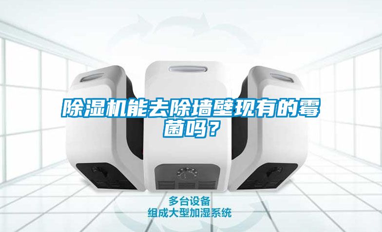 除濕機(jī)能去除墻壁現(xiàn)有的霉菌嗎？