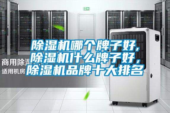 除濕機(jī)哪個牌子好,除濕機(jī)什么牌子好，除濕機(jī)品牌十大排名