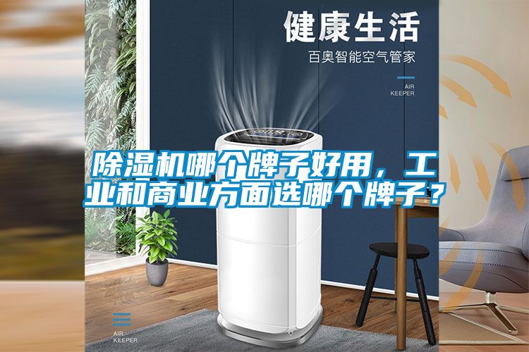 除濕機哪個牌子好用，工業(yè)和商業(yè)方面選哪個牌子？