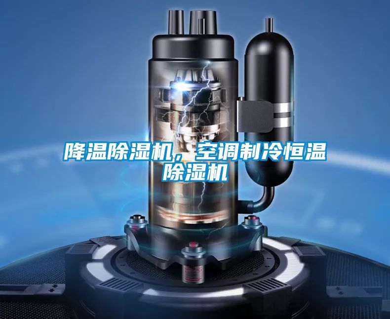 降溫除濕機(jī)，空調(diào)制冷恒溫除濕機(jī)