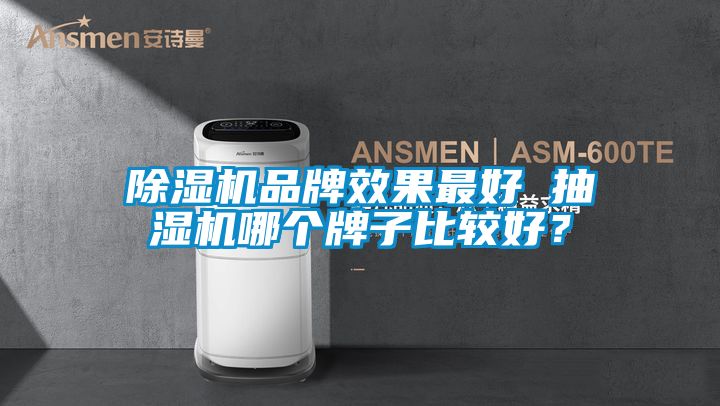 除濕機(jī)品牌效果最好 抽濕機(jī)哪個牌子比較好？