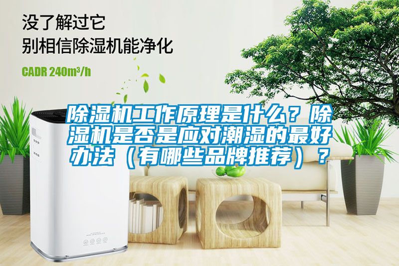除濕機(jī)工作原理是什么？除濕機(jī)是否是應(yīng)對(duì)潮濕的最好辦法（有哪些品牌推薦）？