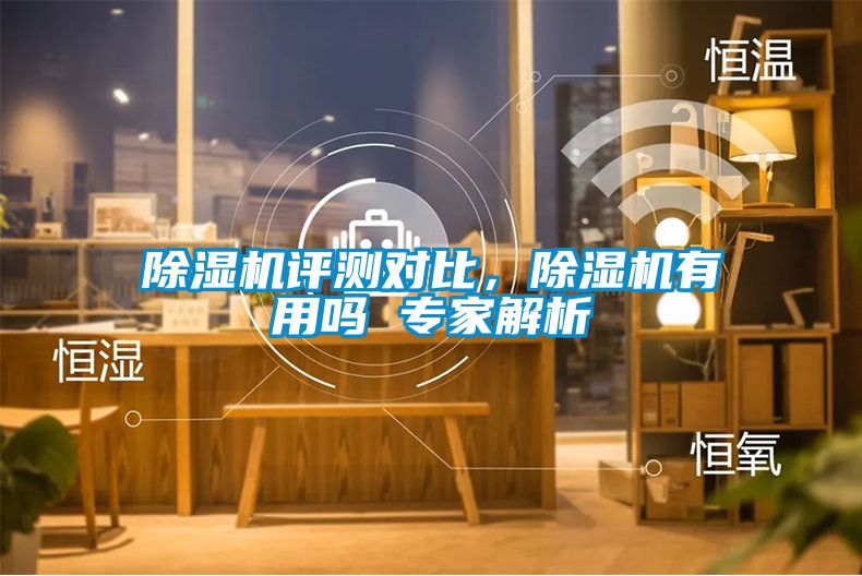 除濕機評測對比，除濕機有用嗎 專家解析
