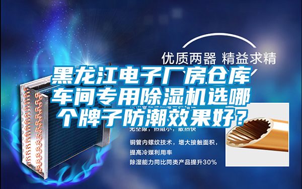黑龍江電子廠房倉庫車間專用除濕機(jī)選哪個牌子防潮效果好？