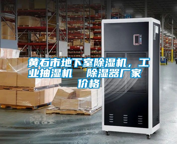 黃石市地下室除濕機(jī)，工業(yè)抽濕機(jī)  除濕器廠家 價(jià)格
