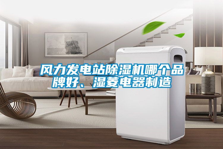 風(fēng)力發(fā)電站除濕機(jī)哪個(gè)品牌好、濕菱電器制造