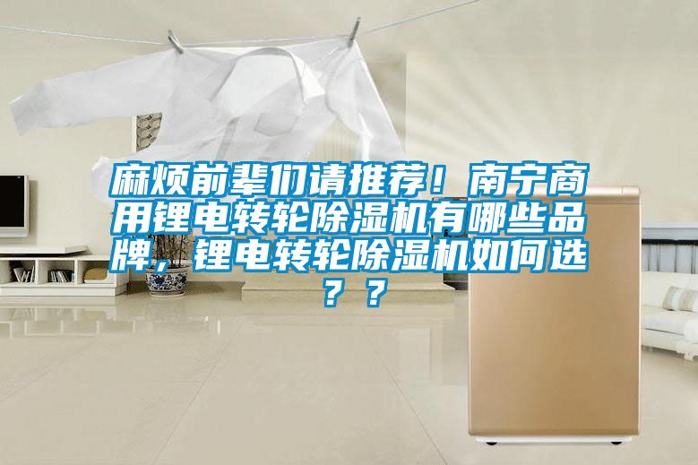 麻煩前輩們請(qǐng)推薦！南寧商用鋰電轉(zhuǎn)輪除濕機(jī)有哪些品牌，鋰電轉(zhuǎn)輪除濕機(jī)如何選？？