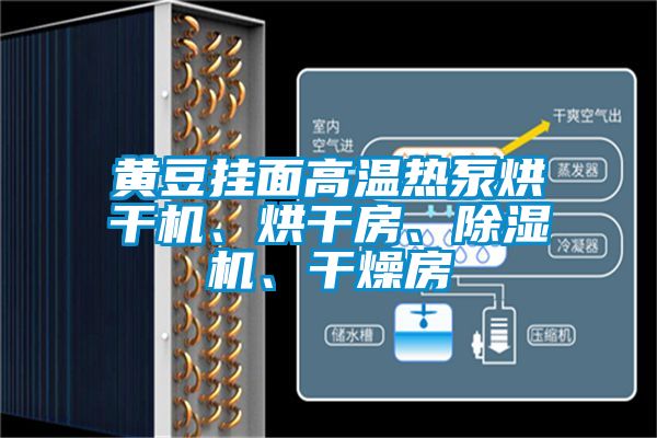 黃豆掛面高溫?zé)岜煤娓蓹C(jī)、烘干房、除濕機(jī)、干燥房