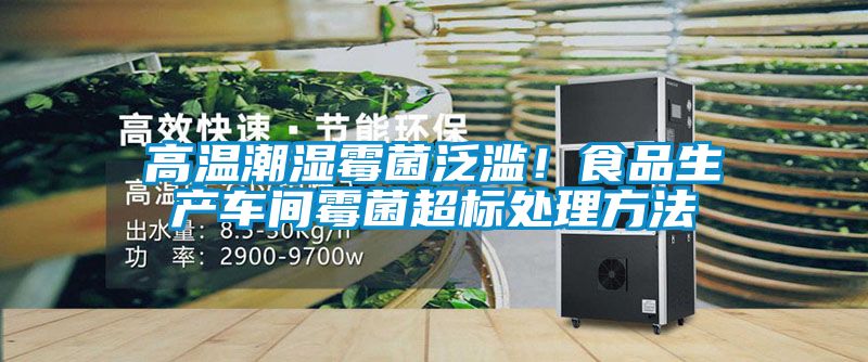 高溫潮濕霉菌泛濫！食品生產(chǎn)車間霉菌超標(biāo)處理方法