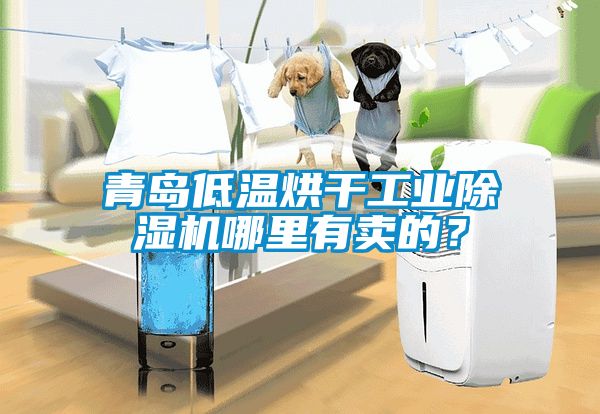 青島低溫烘干工業(yè)除濕機(jī)哪里有賣的？