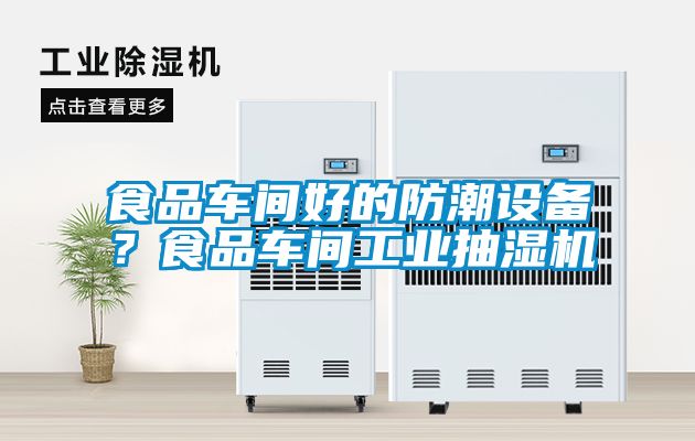 食品車(chē)間好的防潮設(shè)備？食品車(chē)間工業(yè)抽濕機(jī)