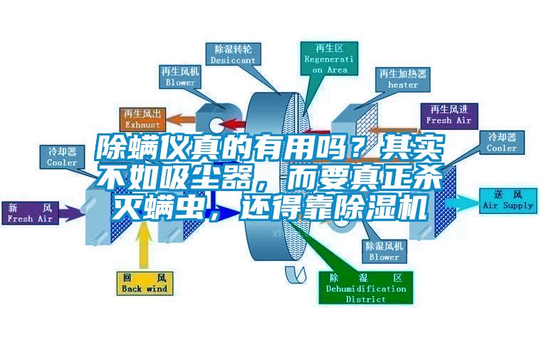 除螨儀真的有用嗎？其實(shí)不如吸塵器，而要真正殺滅螨蟲，還得靠除濕機(jī)